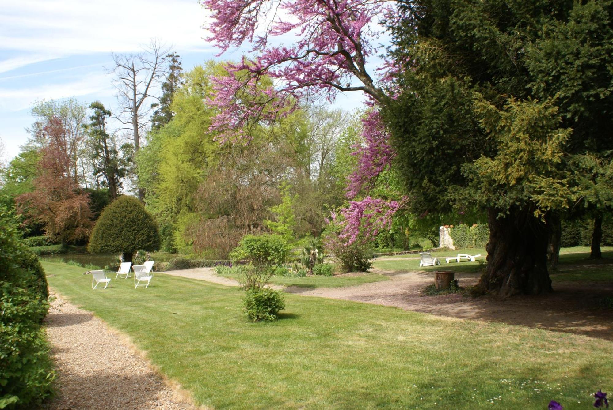 Le Beguinage Bed and Breakfast Cour-Cheverny Buitenkant foto