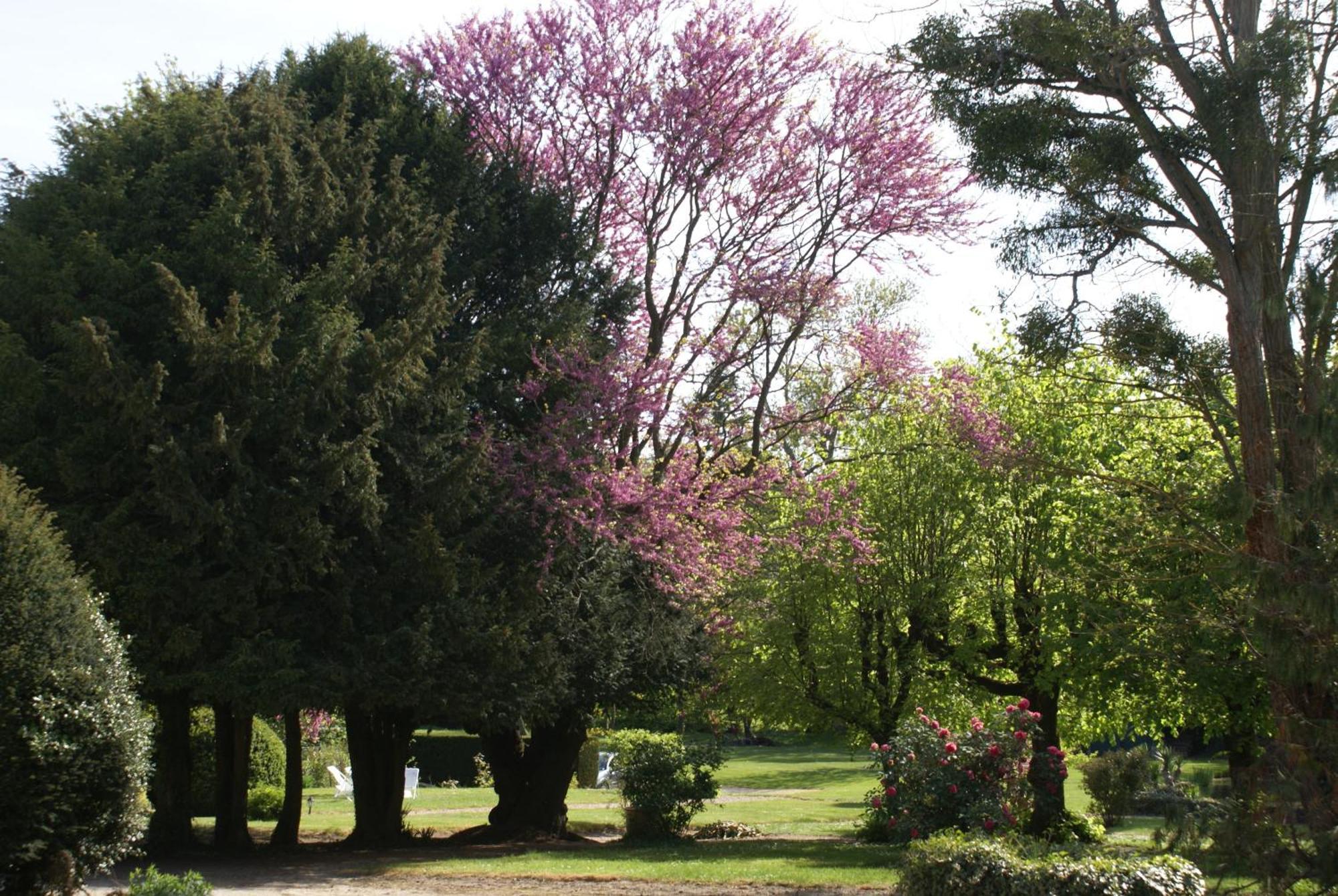 Le Beguinage Bed and Breakfast Cour-Cheverny Buitenkant foto