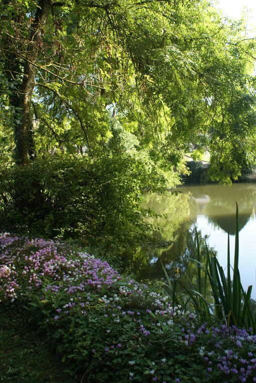 Le Beguinage Bed and Breakfast Cour-Cheverny Buitenkant foto